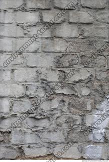 Photo Textures of Wall Bricks Plastered